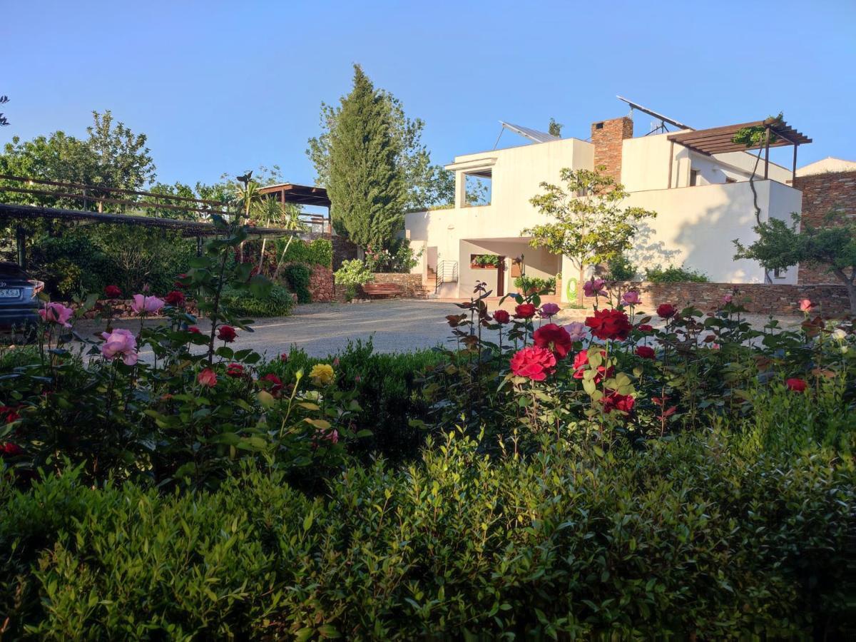 El Domingo En El Valle Fondón 외부 사진